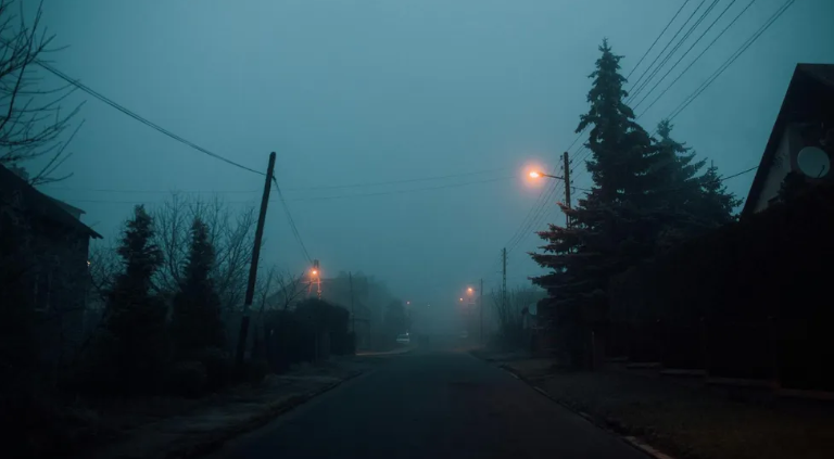– Мне не нужна парализованная… — сказала невестка и ушла…